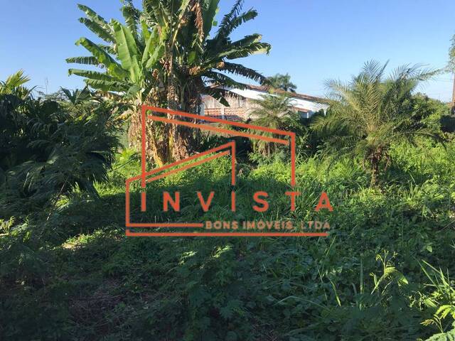 Terreno para Venda em Caraguatatuba - 4