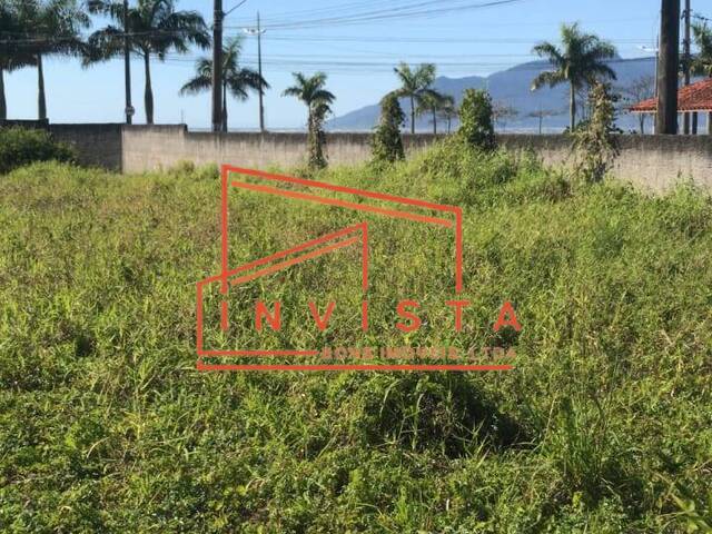 Terreno para Venda em Caraguatatuba - 4