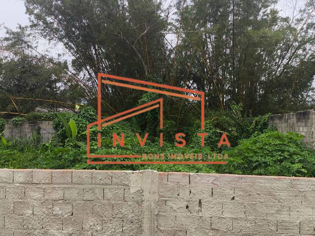 #1027 - Terreno para Venda em Ubatuba - SP - 2