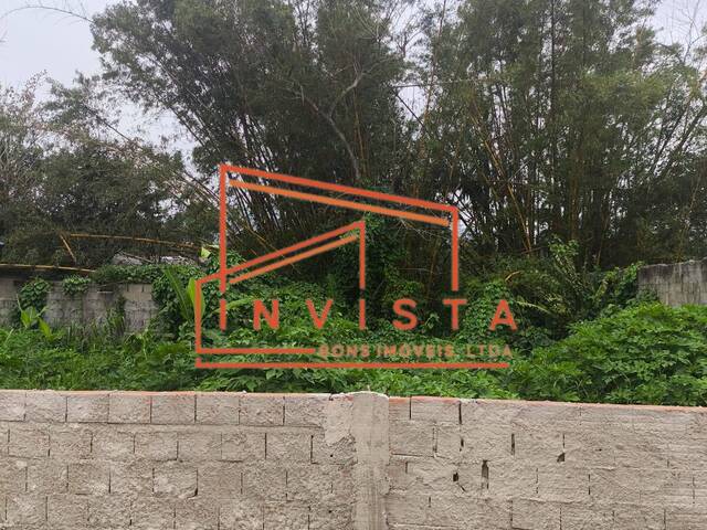 #1027 - Terreno para Venda em Ubatuba - SP - 3
