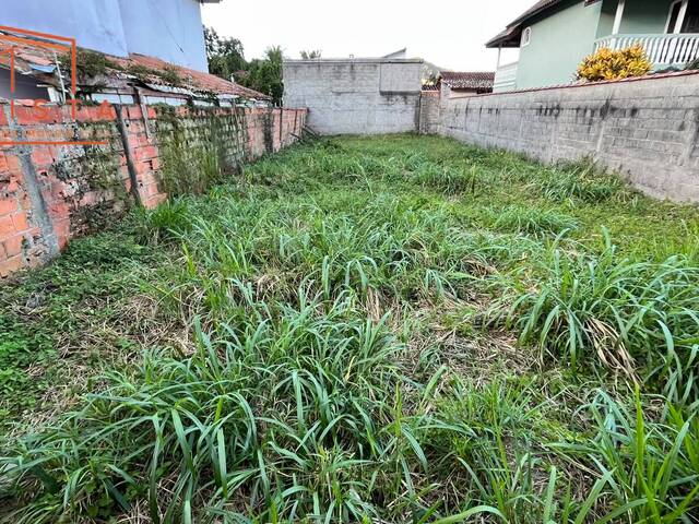Área para Venda em Caraguatatuba - 4